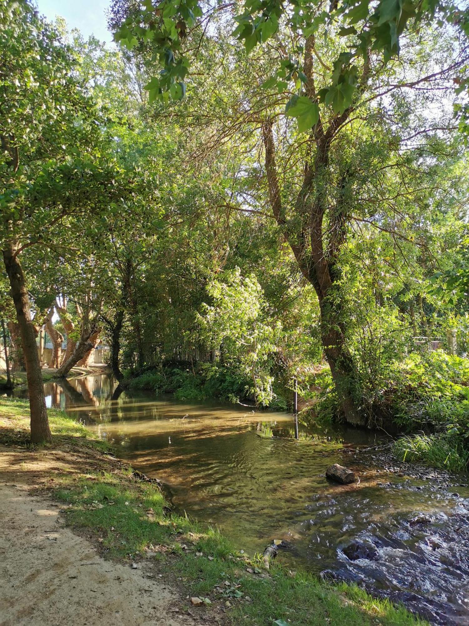Le Petit Chai Niche Sous La Cite, قرقشونه المظهر الخارجي الصورة
